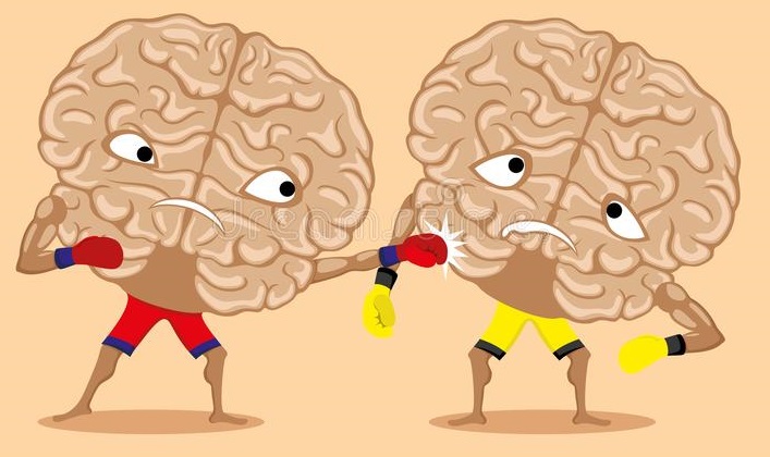 Two brains boxing