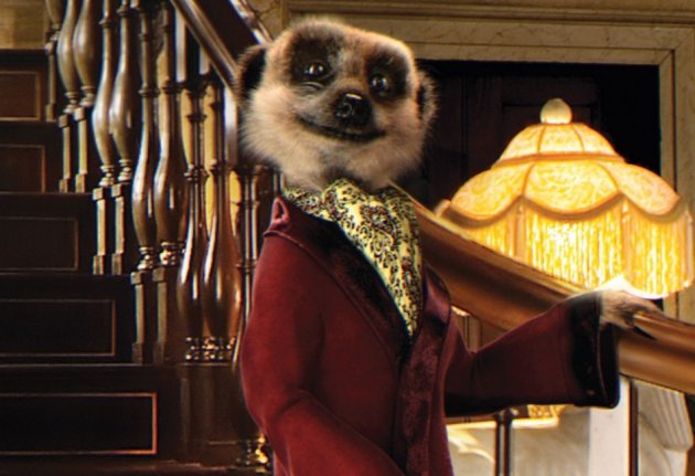 That fucking meerkat from off the telly