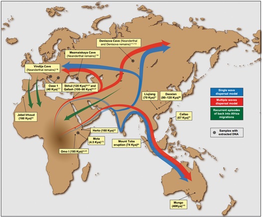 Map of early human movements